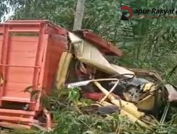 Ringsek, Setelah Truck Pengangkut Batu Bata Menabrak Pohon Kelapa