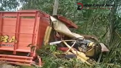 Ringsek, Setelah Truck Pengangkut Batu Bata Menabrak Pohon Kelapa