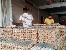 Pandemi Covid-19, Harga Telur Ayam mulai Turun di Tanjungpinang