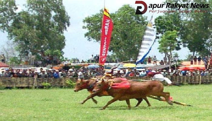Sapi