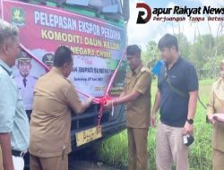 Di Ekspor ke China, Daun Kelor (Maronggi) Sebanyak 22 Ton. Ini Harapan Bupati Sumenep
