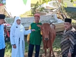 Wakil Bupati Sumenep Serahkan Hewan Kurban Melalui Dinas Sosial P3A Sumenep