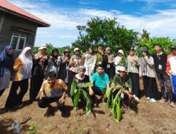 Kelompok 32 KKN IAIN Kerinci Bangun Apotek Hidup di Kantor Wali Riak Danau
