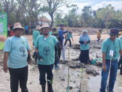Memperingati Hari Mangrove se Dunia, Bupati Sumenep Mengajak untuk Menjaga Hutan Mangrove