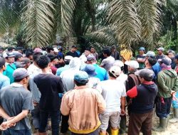 Pembayaran Premi Tidak Sesuai, Karyawan PT CCI Gelar Demo