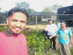Pemerintah Nagari Bukit Buai Alokasikan Dana untuk Kebun Alpukat