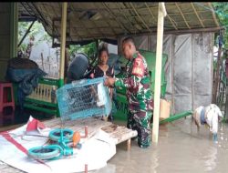 Puluhan Rumah Warga Terendam Banjir, Ini yang Dilakukan Babinsa Koramil 0823/05 Panarukan