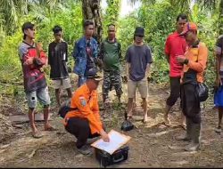 Basarnas Hentikan Pencarian Orang Hilang yang Diduga Kuat Korban Diterkam Buaya