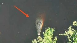 Pelabuhan Dungkek