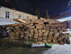 Diduga sebagai Pelaku Ilegal Logging 2 Orang Warga Diamankan Polisi