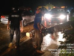 Pohon Tumbang di Koto XI Tarusan, Sempat Tutup Akses Jalan Lintas Padang-Painan.