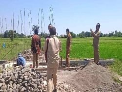 Tim Monitoring Kecamatan Panji Survei ke Desa Tenggir