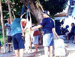 Momen Idul Adha 1445 H, Ini yang Dilakukan Kelompok Pemuda 53 Dawuhan