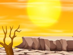 BPBD Ungkap Daerah Rawan Bencana Kekeringan di Sampang Tahun Ini Meningkat