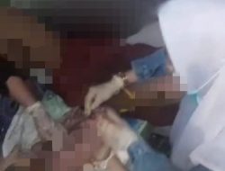 Seorang Ibu Melahirkan di Atas Kapal Laut, 2 Orang Bidan Pendamping Layak Diapresiasi