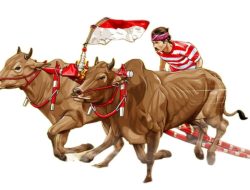 Lomba Kerapan Sapi Tingkat Kecamatan Rawan Tak Digelar, Pemilik Sapi Bergejolak