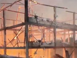 Diduga Korsleting Listrik, Kandang Peternakan Ayam Milik Warga Sampang Hangus Terbakar