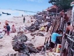 Gegara Abrasi, Luas Pulau Mandangin Sampang Makin Menyempit