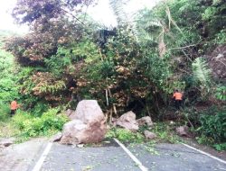 Longsor dan Pohon Tumbang di Jalan Salido Painan Akses Jalan Tertutup