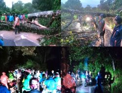 Jalan Lintas Padang Bengkulu Tertutup Sementara Akibat Tertimbun Material Longsor dan Pohon Tumbang, 
