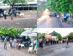 Dinas Peternakan Situbondo Gandeng TNI-Polri, Perketat Pengawasan untuk Kendalikan PMK