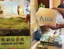 Penemuan Diduga Sabu 35 Kg Gegerkan Perairan Masalembu, Terbesar dalam Sejarah Madura